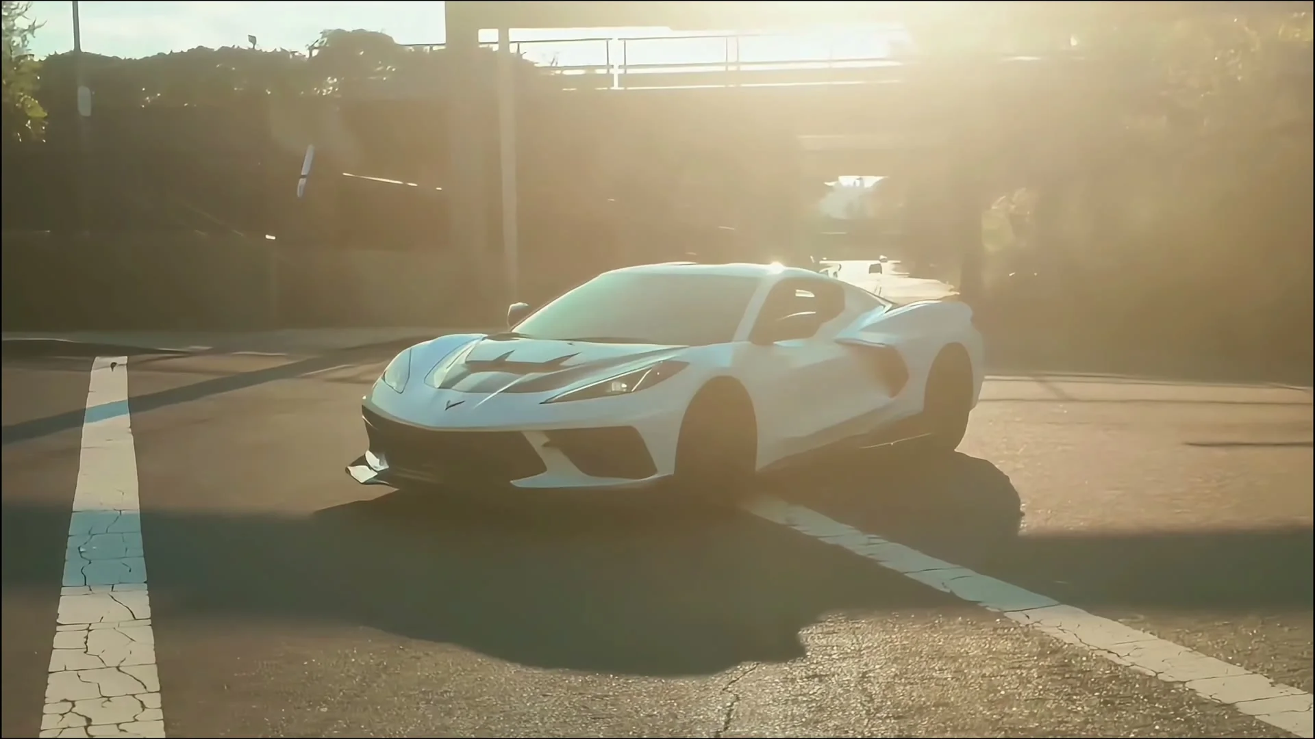 Drive With Distinction and Style